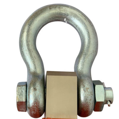 can treo dien tu 3 tan ocs a 3