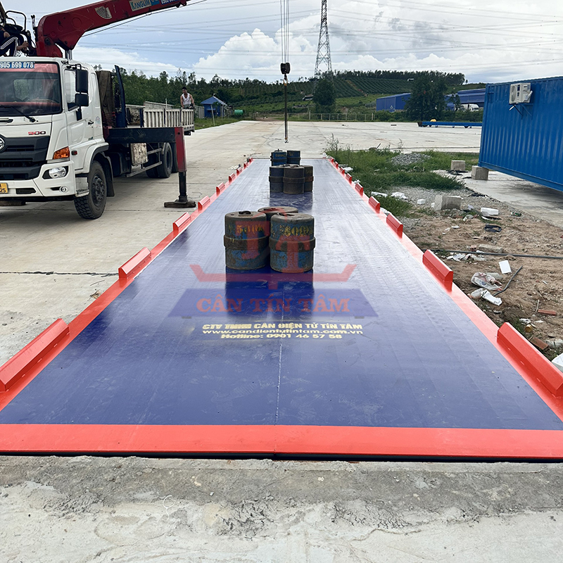 cân tín tâm t7 can tin tam t7